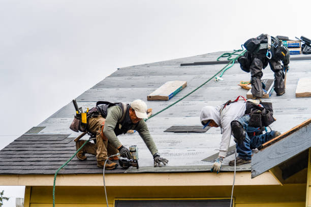 Professional Roof Replacement technician working in Hampshire, IL